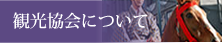 観光協会について