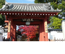 乙訓寺